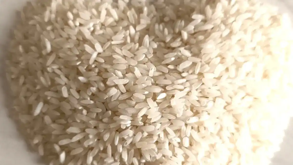 Разработка ученых Пермского Политеха позволит делать из рисовой шелухи товарные продукты